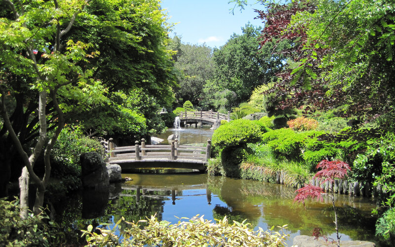 Japanese garden with bridges