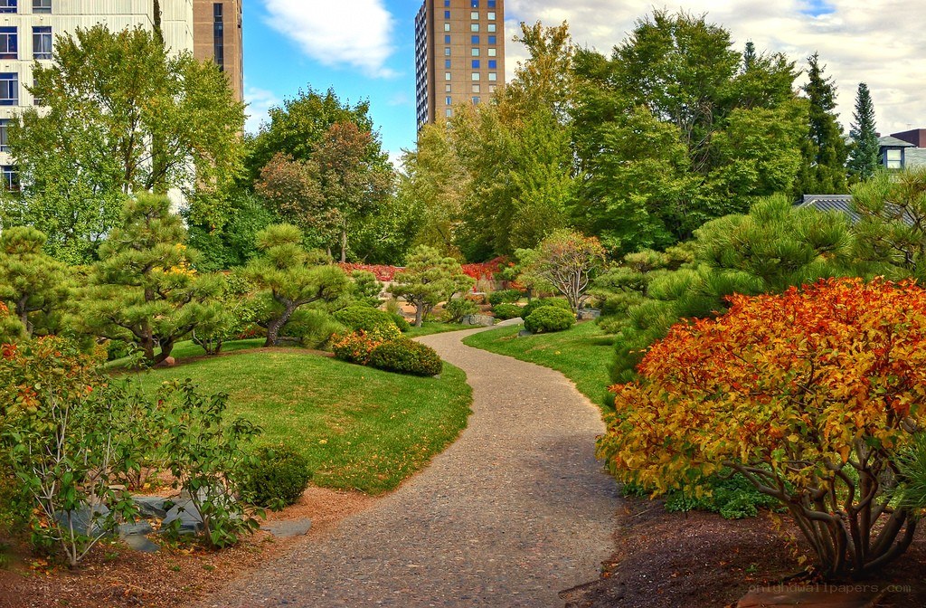 Japanese garden with city view