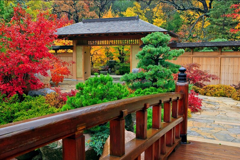 Japanese Garden with Gate