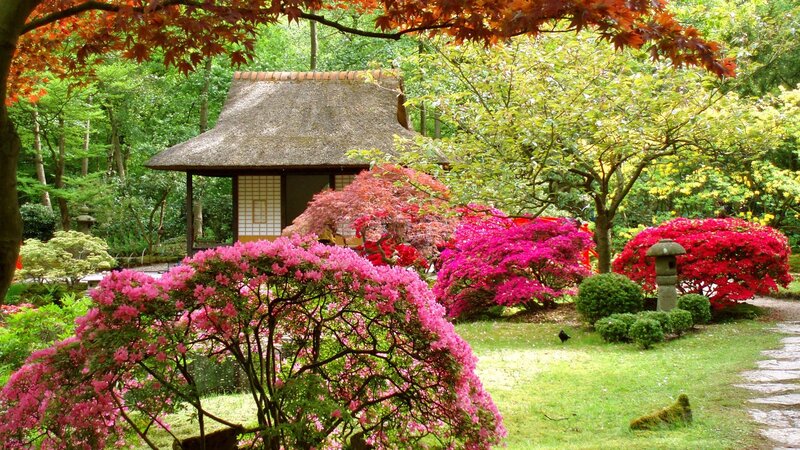 Japanese Garden with Hut — Pink