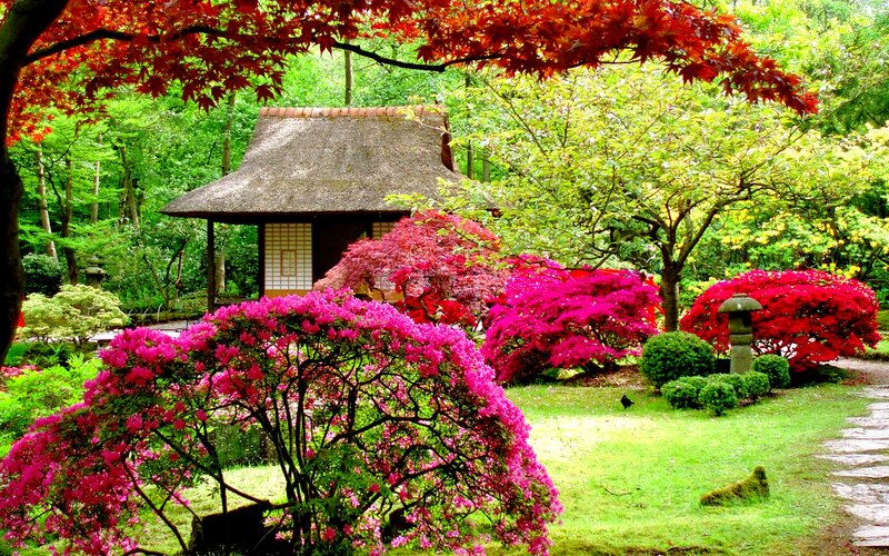 Japanese Garden with Hut