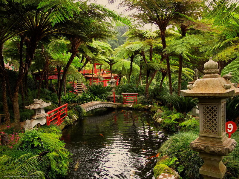 Japanese garden with koi pond