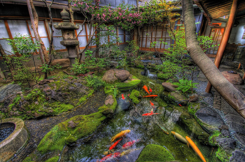 Japanese garden with koi pond