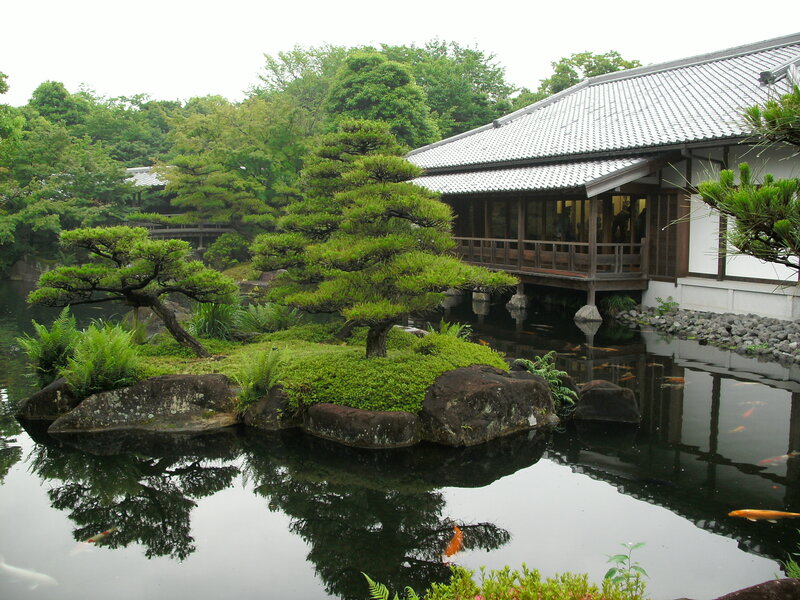 Japanese garden with koi pond