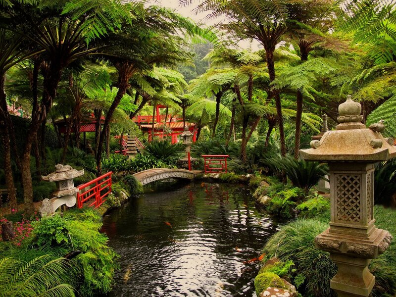 Japanese garden with koi pond