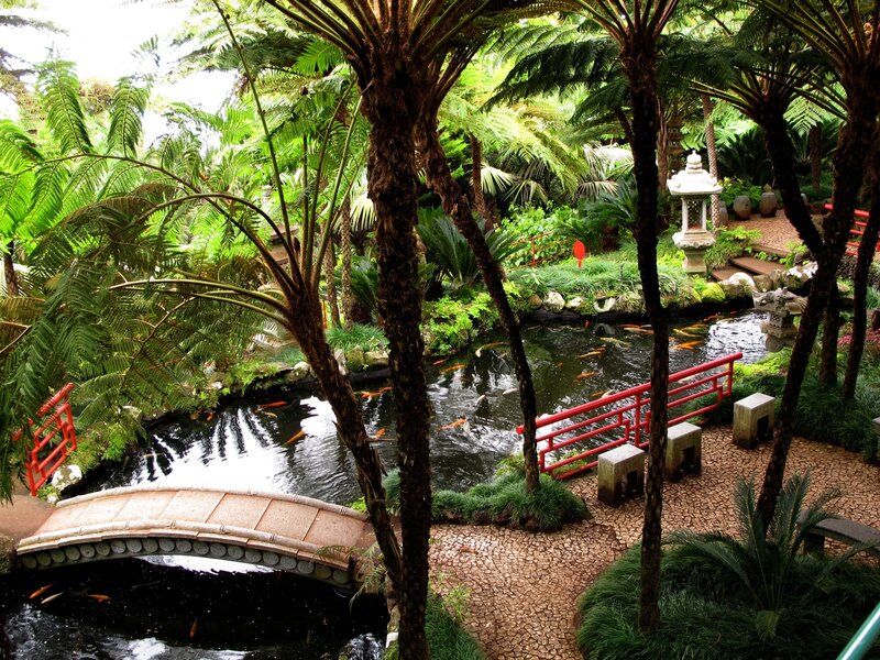 Japanese garden with koi pond
