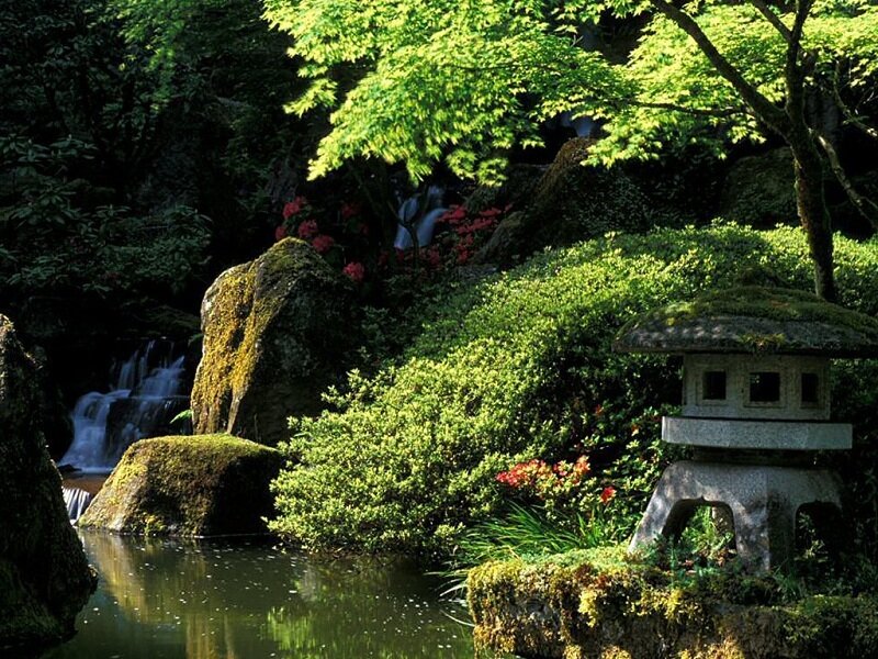 Japanese garden with lantern