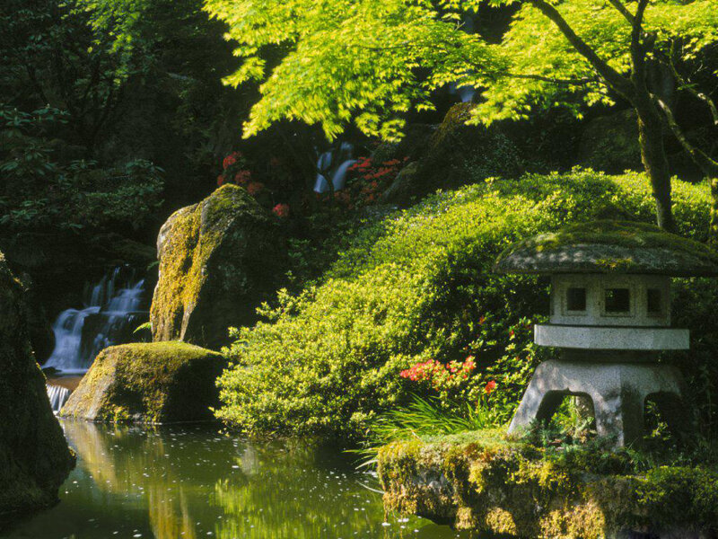 Japanese Garden with Lantern — Green, Serene