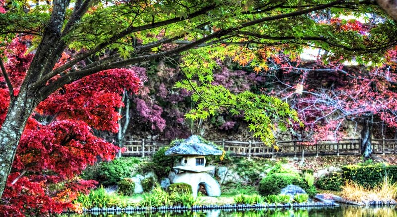 Japanese Garden with Lantern — Red