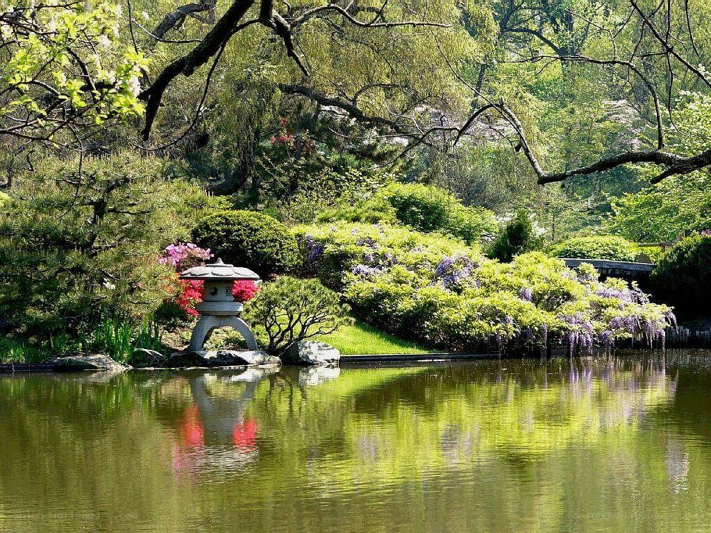 Japanese garden with lantern