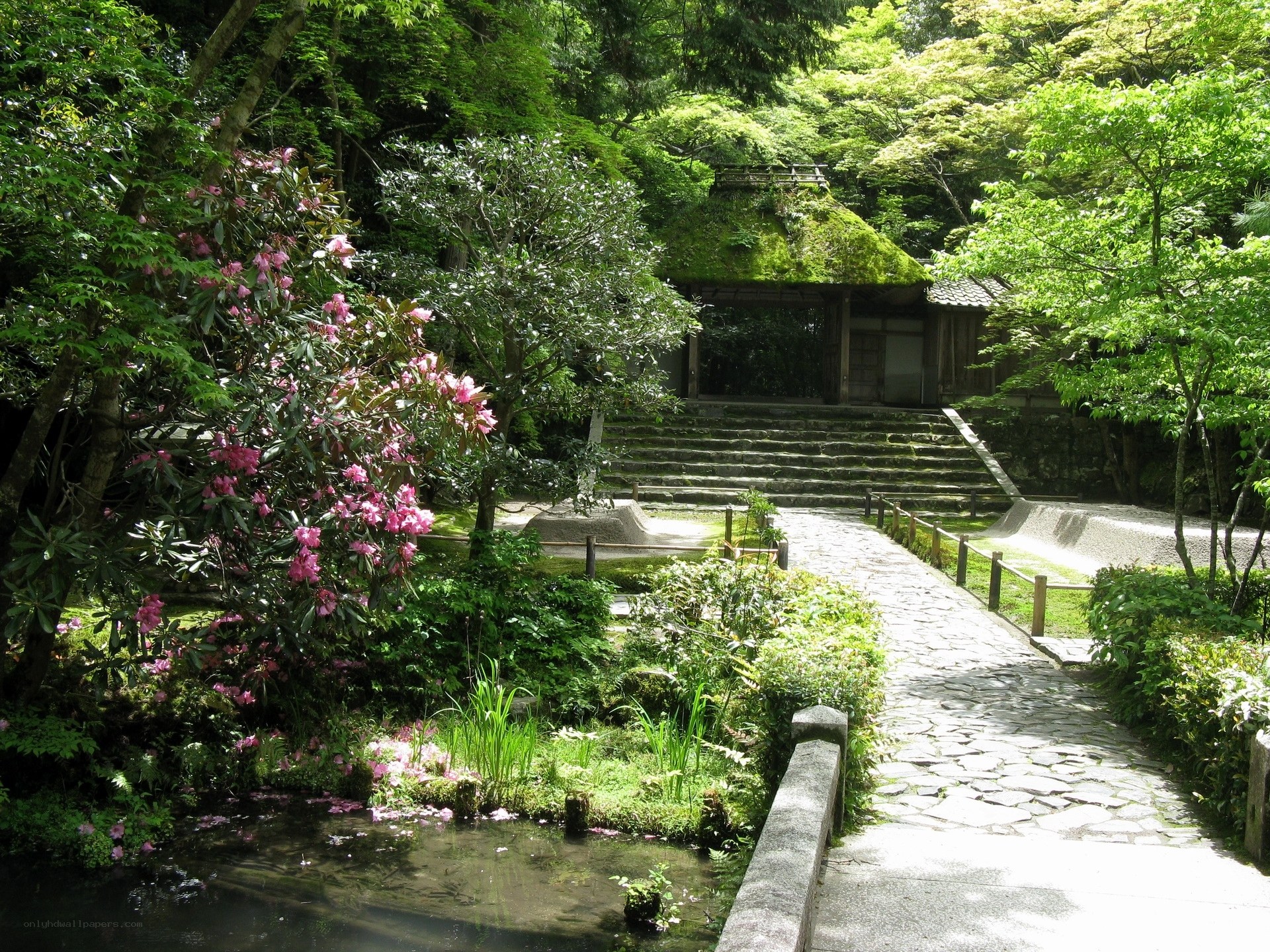 Japanese garden with mossy temple