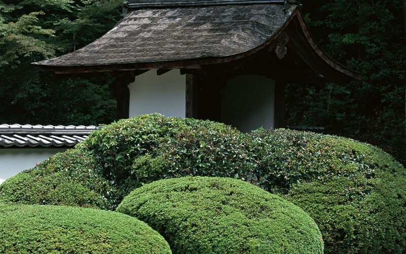 Japanese garden with pagoda