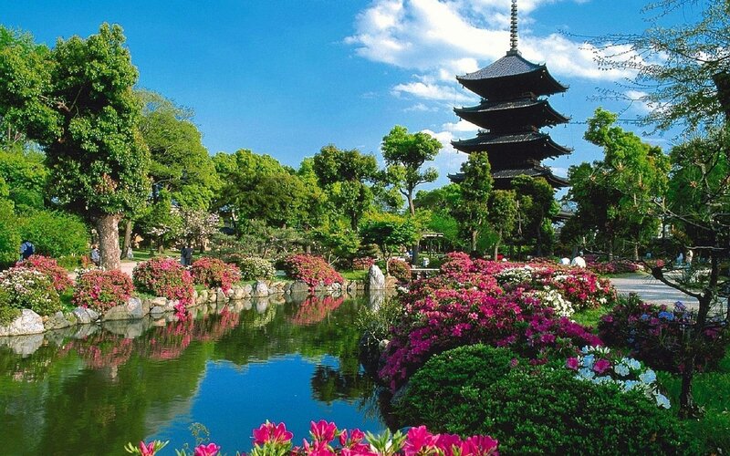 Japanese garden with pagoda