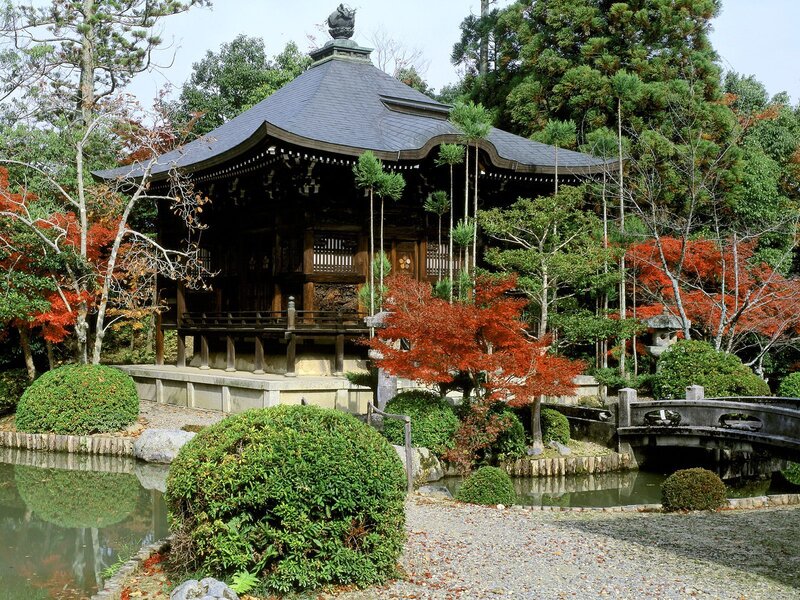 Japanese garden with pagoda