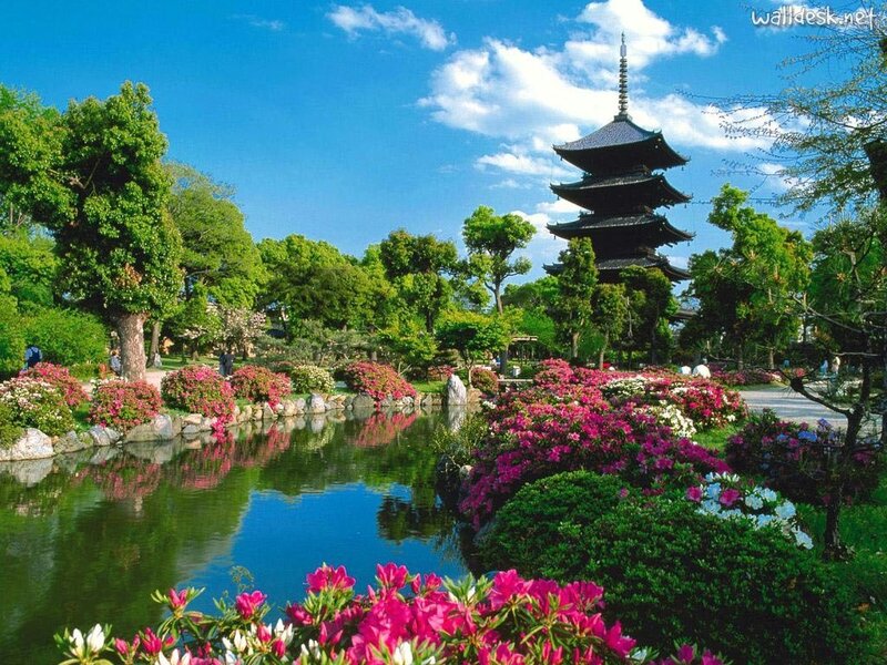 Japanese garden with pagoda