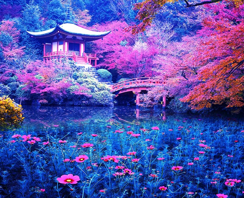 Japanese Garden with Pagoda — Blue