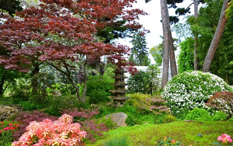Japanese Garden with Pagoda — Green, Serene, Spring, Photograph