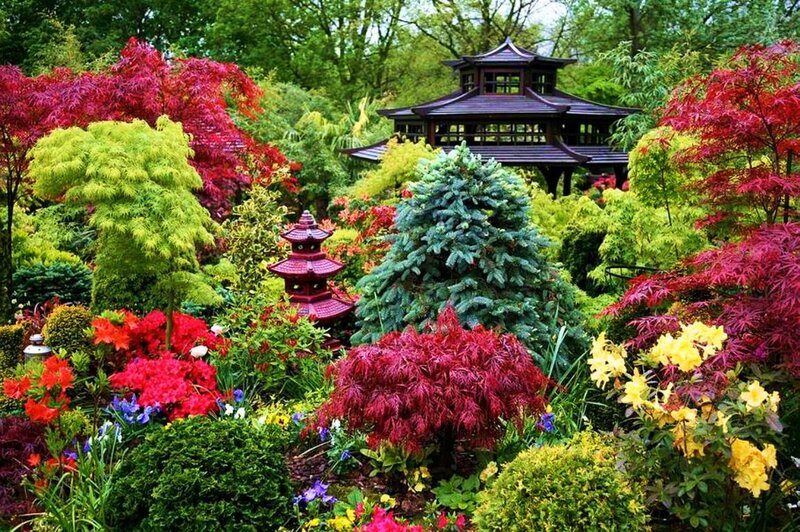 Japanese Garden with Pagoda — Green, Serene, Spring