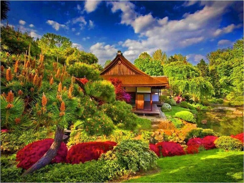 Japanese Garden with Pavilion — Green, Serene, Afternoon, Photograph, Pond, Trees