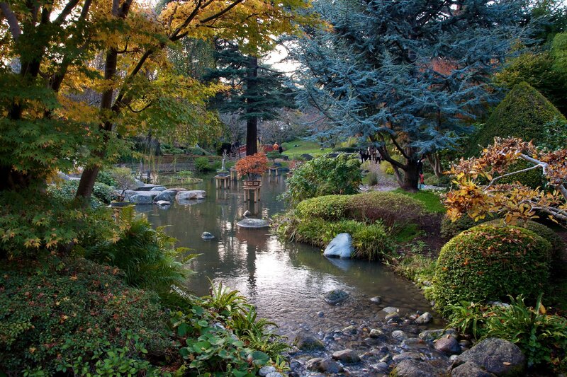 Japanese garden with pond and autumn trees