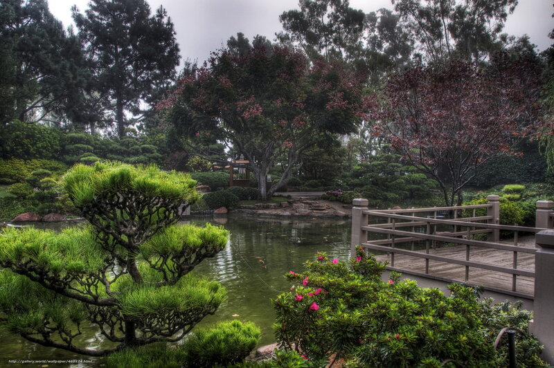 Japanese garden with pond and bridge