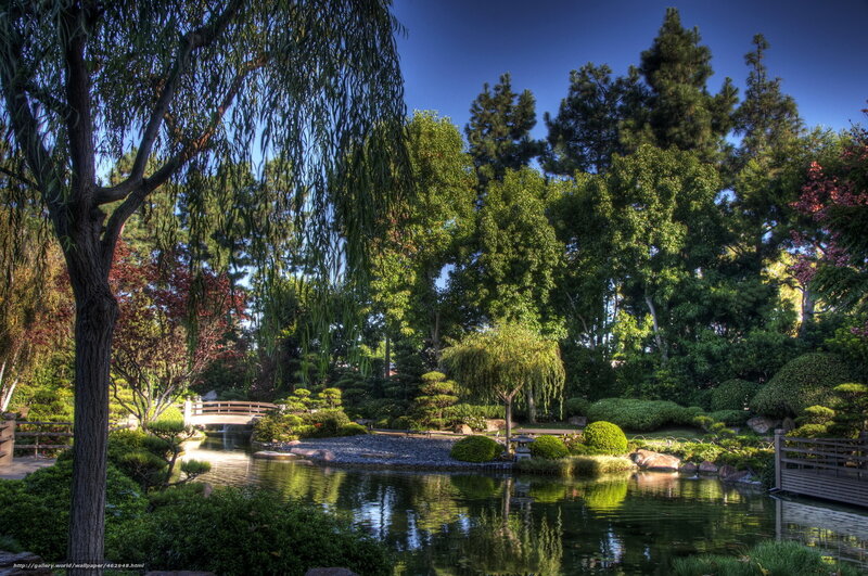 Japanese garden with pond and bridge