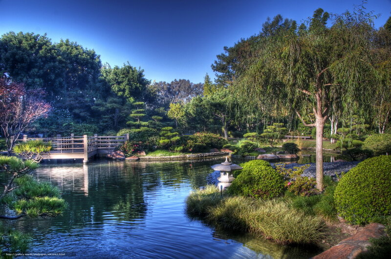 Japanese garden with pond and bridge
