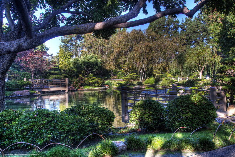 Japanese garden with pond and bridge
