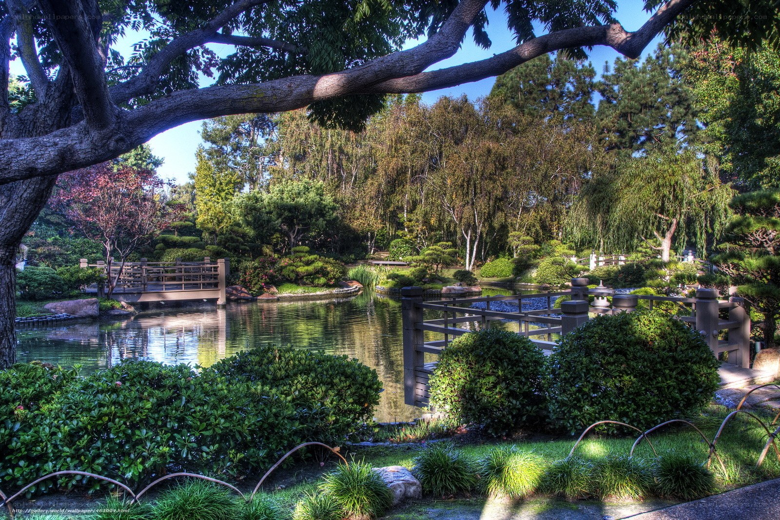 Japanese garden with pond and bridge