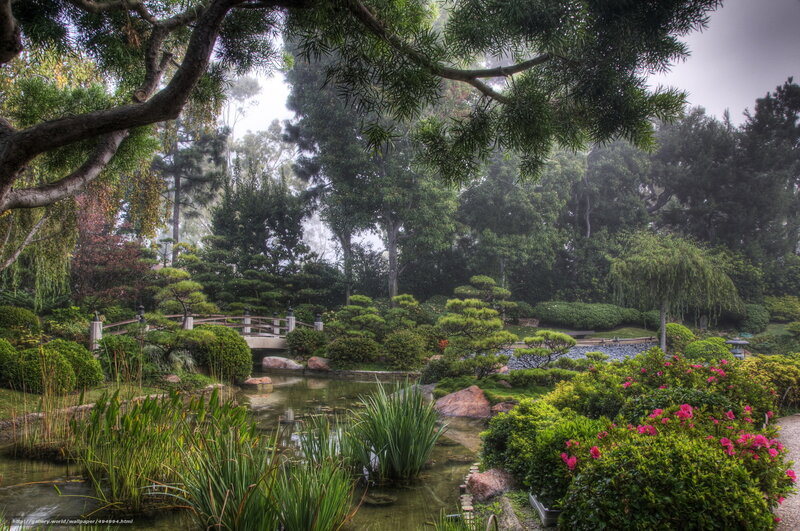 Japanese garden with pond and bridge