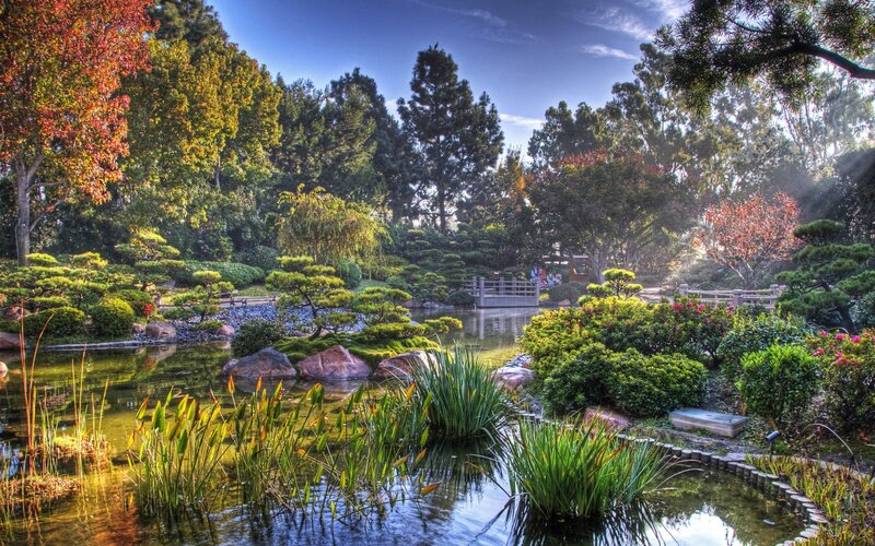 Japanese garden with pond and bridge