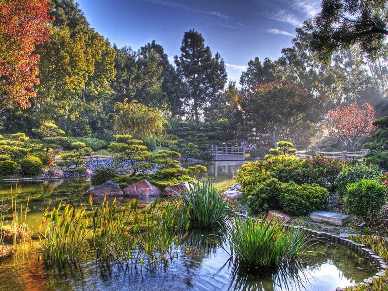 Japanese garden with pond and bridge