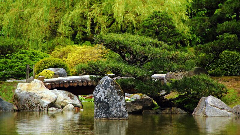 Japanese garden with pond and bridge