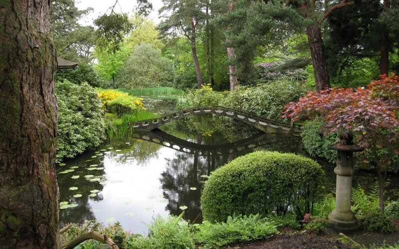 Japanese garden with pond and bridge