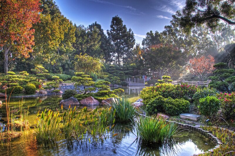 Japanese garden with pond and bridge