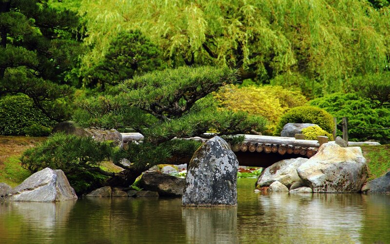 Japanese garden with pond and bridge