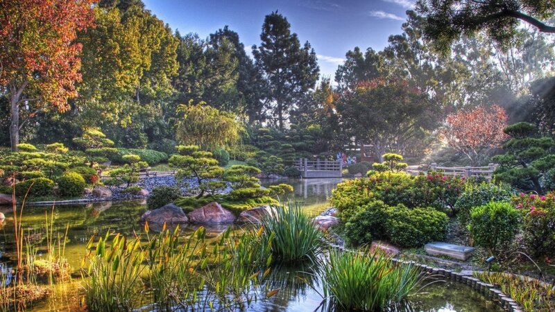 Japanese garden with pond and bridge