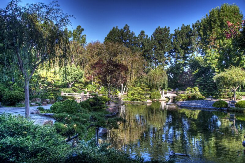 Japanese garden with pond and bridge