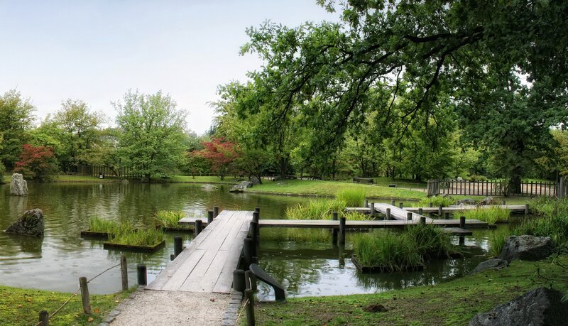Japanese garden with pond and bridge