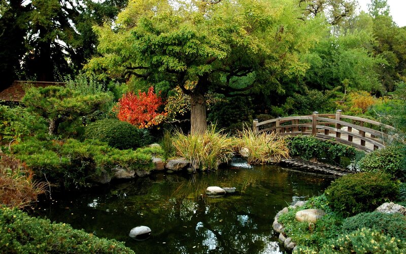 Japanese garden with pond and bridge