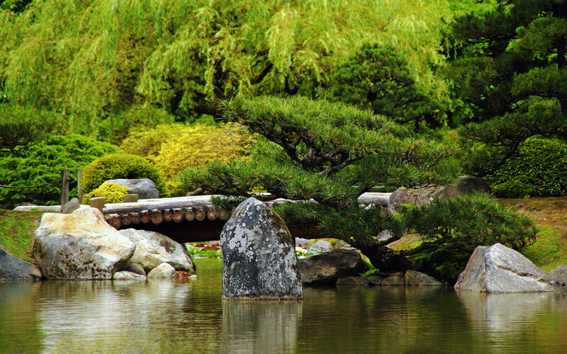 Japanese garden with pond and bridge