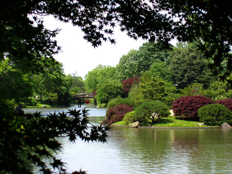 Japanese garden with pond and bridge