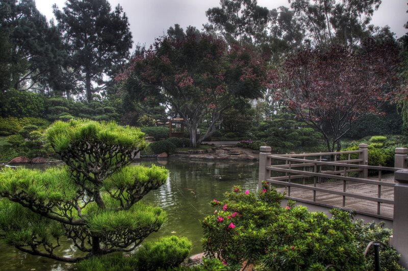 Japanese garden with pond and bridge