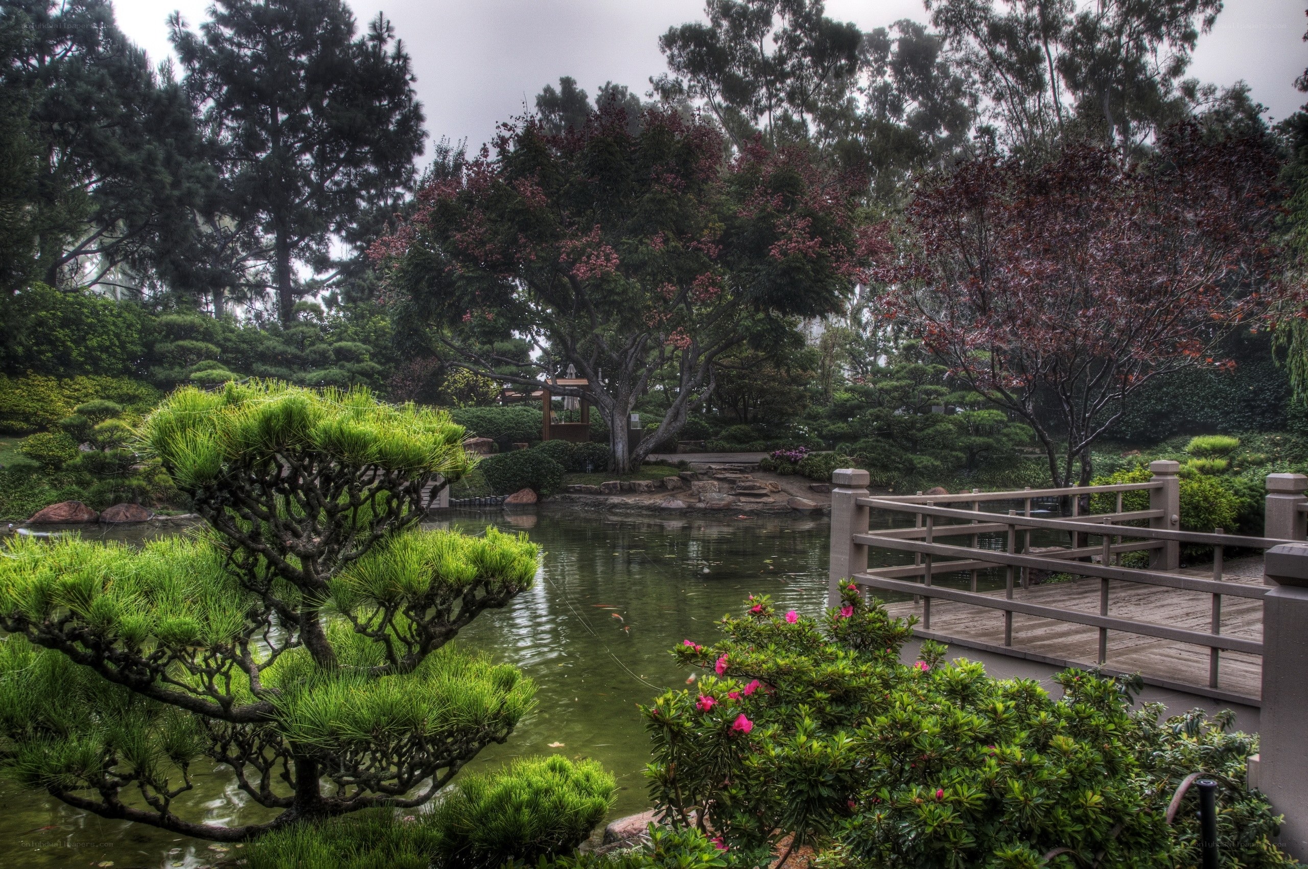 Japanese garden with pond and bridge