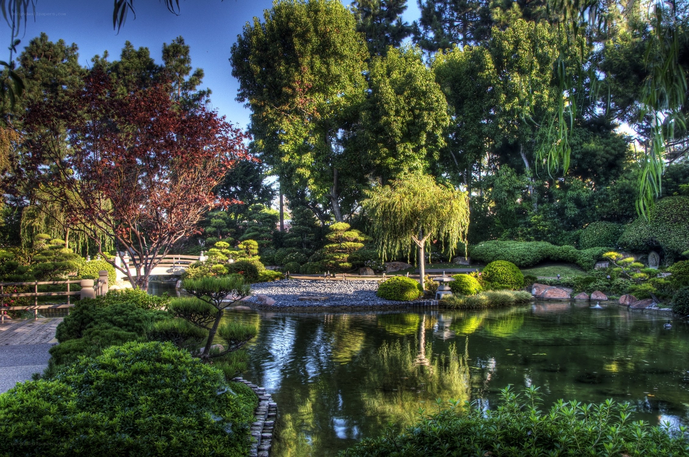 Japanese garden with pond and bridge
