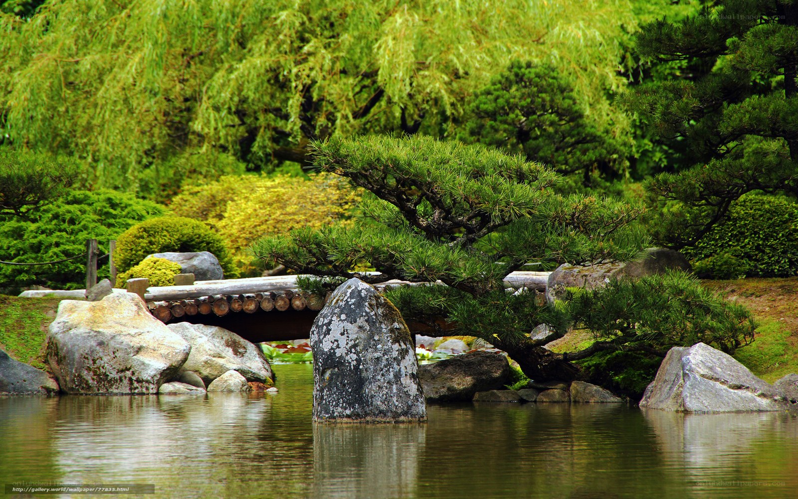 Japanese garden with pond and bridge