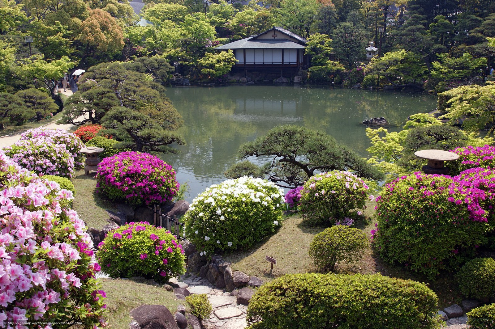 Japanese garden with pond and flowers