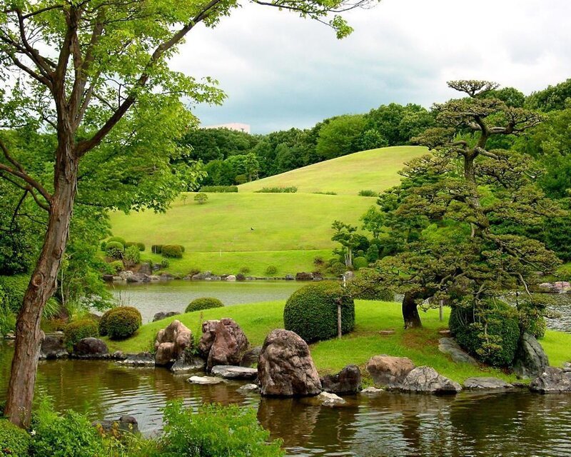 Japanese garden with pond and hill