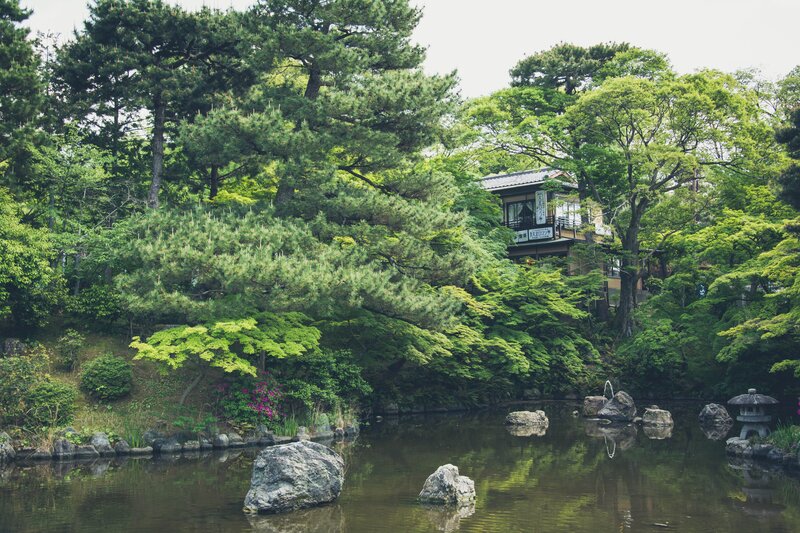 Japanese garden with pond and house