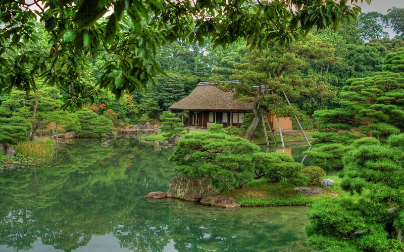 Japanese garden with pond and hut